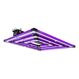LED