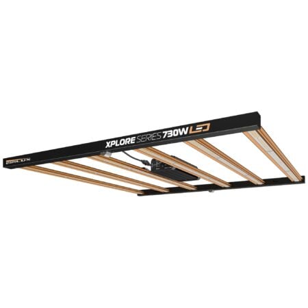 DimLux Xplore Serie LED 730W